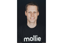 Times are Tough, But so are You: How Online Retailers...